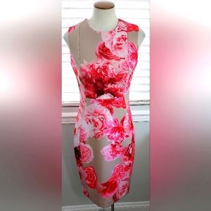Calvin Klein Beige and Pink Large Floral Pattern Sleeveless Dress NWT